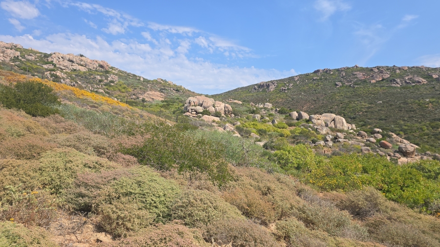 0 Bedroom Property for Sale in St Helena Views Western Cape